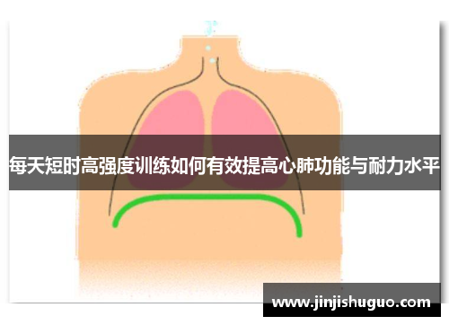 每天短时高强度训练如何有效提高心肺功能与耐力水平