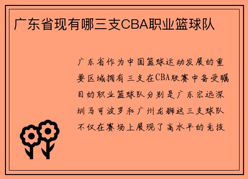广东省现有哪三支CBA职业篮球队