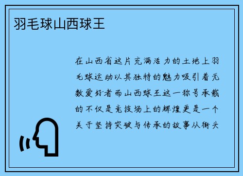 羽毛球山西球王